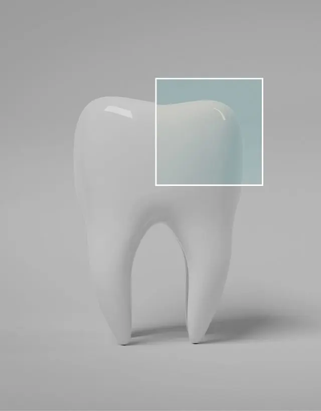 DHARMA DENTAL - DIENTES PROVISIONALES